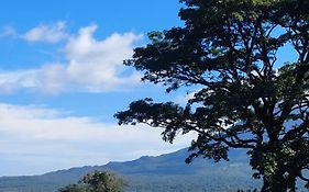 Pura Vista Glamping