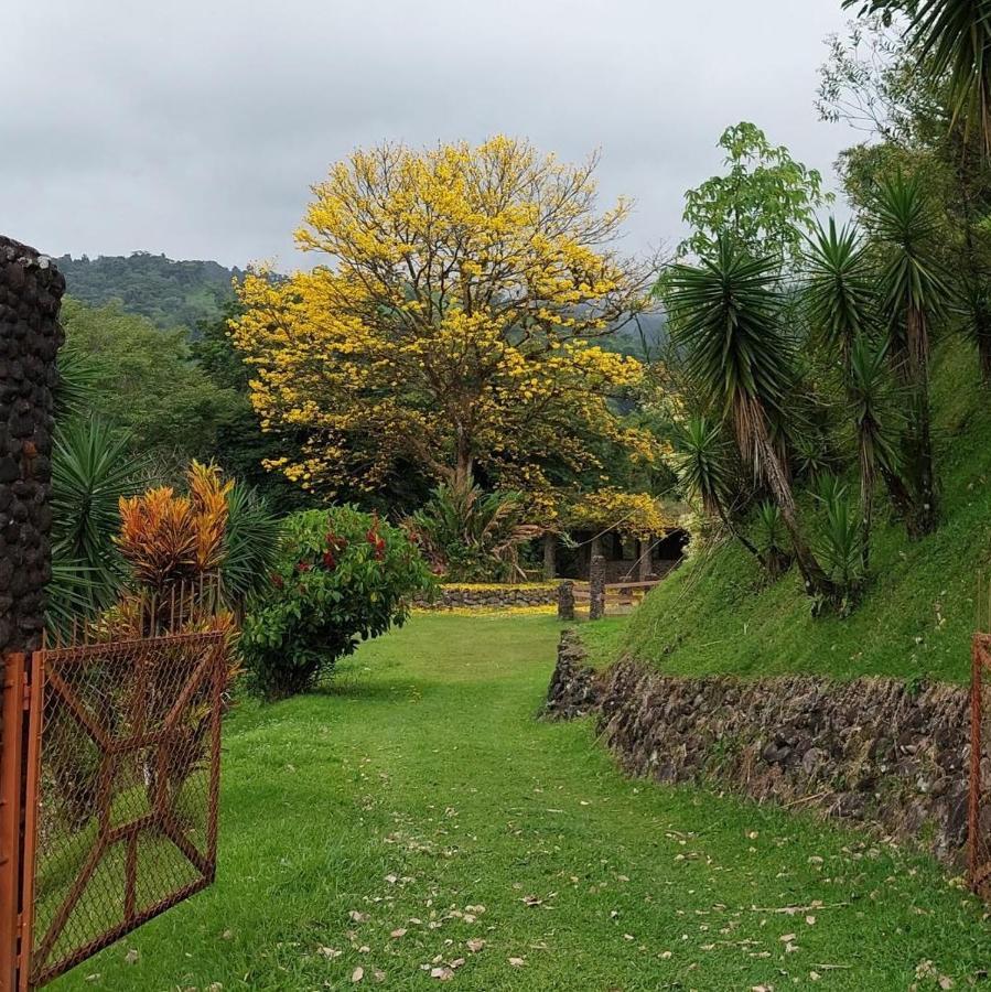 Hotel Pura Vista Glamping à El Castillo Extérieur photo